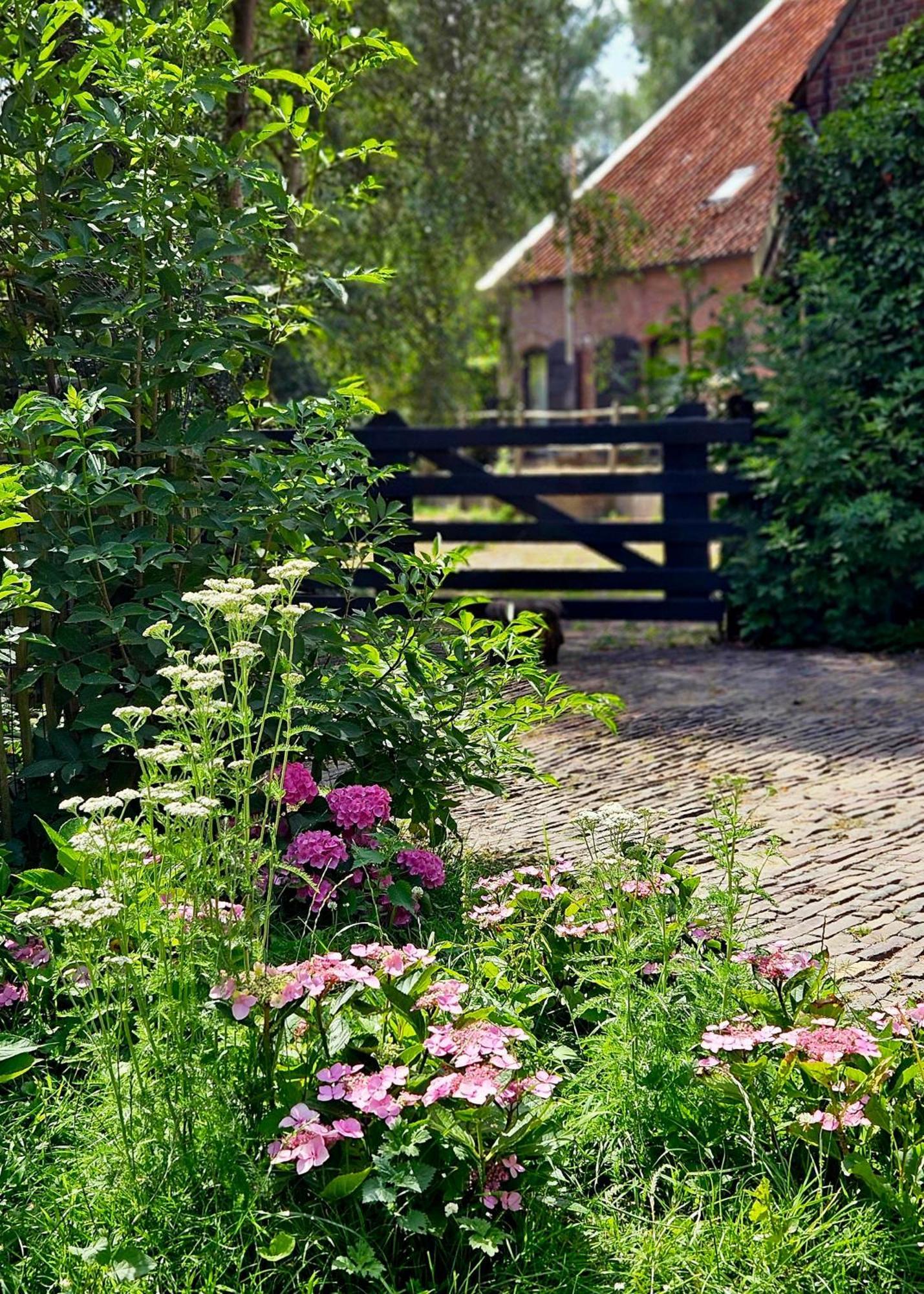 De Zeeuwsche Hoeve Kerkwerve Exterior photo